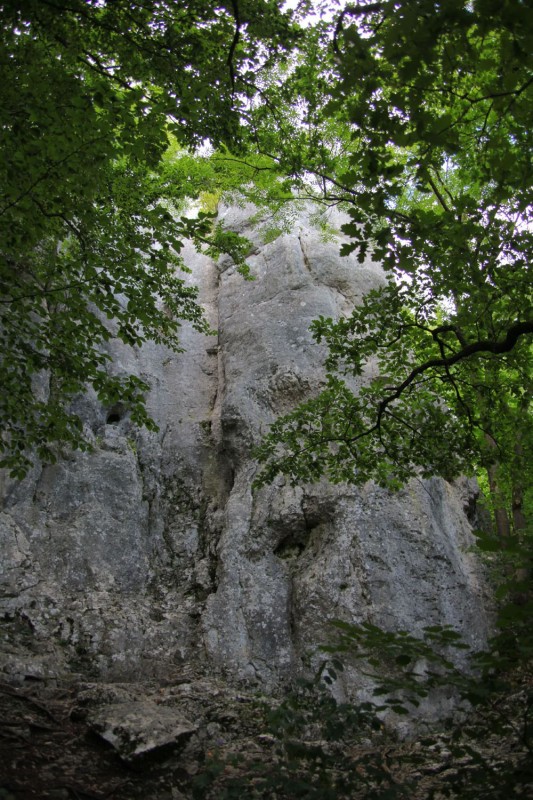 Felsfoto: Mühltor und 41 weitere Felsen im Klettergebiet Altmühltal (Südliches Frankenjura) ➤ Routen mit Schwierigkeitsgraden f&uuml;r den Fels Mühltor ➤ Klettertopo & Kletterf&uuml;hrer ➤ 16.07.2026