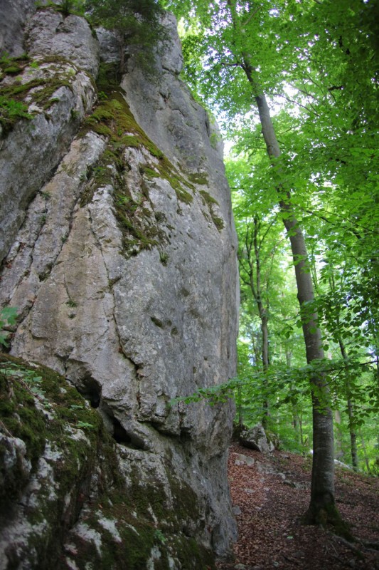 Felsfoto: Steinerne Stadt und 41 weitere Felsen im Klettergebiet Altmühltal (Südliches Frankenjura) ➤ Routen mit Schwierigkeitsgraden f&uuml;r den Fels Steinerne Stadt ➤ Klettertopo & Kletterf&uuml;hrer ➤ 16.07.2026