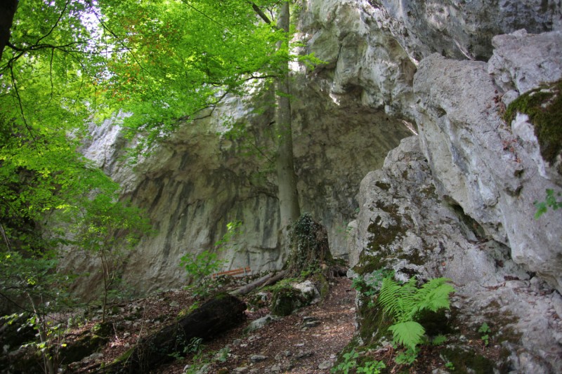 Felsfoto: Friedrichsruh und 41 weitere Felsen im Klettergebiet Altmühltal (Südliches Frankenjura) ➤ Routen mit Schwierigkeitsgraden f&uuml;r den Fels Friedrichsruh ➤ Klettertopo & Kletterf&uuml;hrer ➤ 16.07.2026