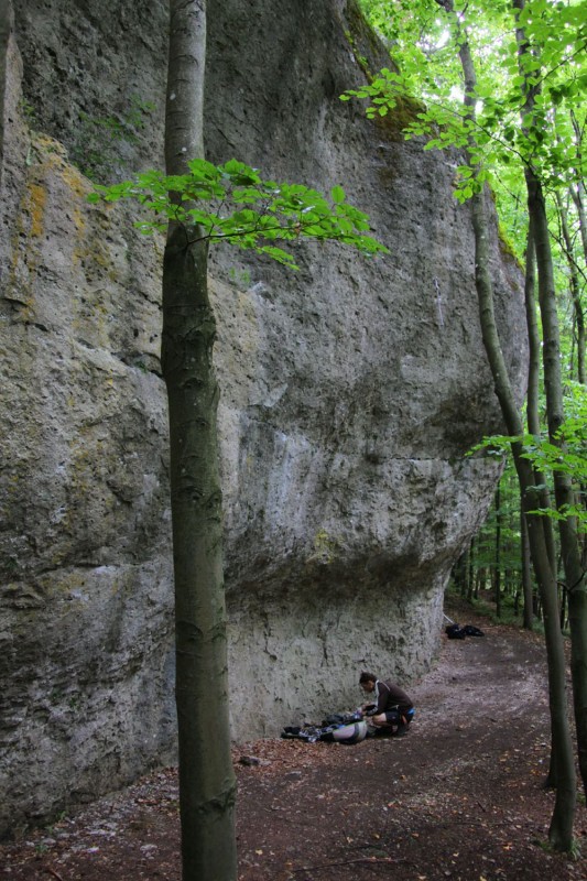 Felsfoto: Bladerunnerwand und 690 weitere Felsen im Klettergebiet Fränkische Schweiz (Frankenjura) ➤ Routen mit Schwierigkeitsgraden f&uuml;r den Fels Bladerunnerwand ➤ Klettertopo & Kletterf&uuml;hrer ➤ 19.05.2026