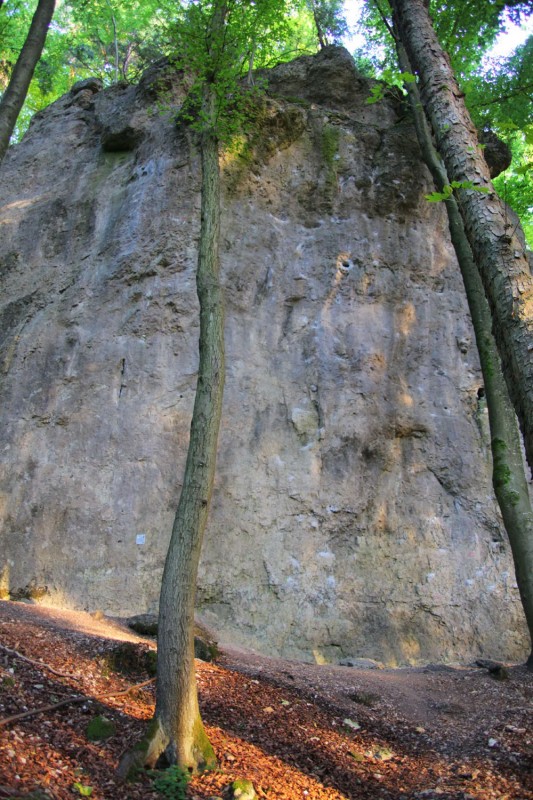 Felsfoto: Castellwand und 690 weitere Felsen im Klettergebiet Fränkische Schweiz (Frankenjura) ➤ Routen mit Schwierigkeitsgraden f&uuml;r den Fels Castellwand ➤ Klettertopo & Kletterf&uuml;hrer ➤ 19.05.2026
