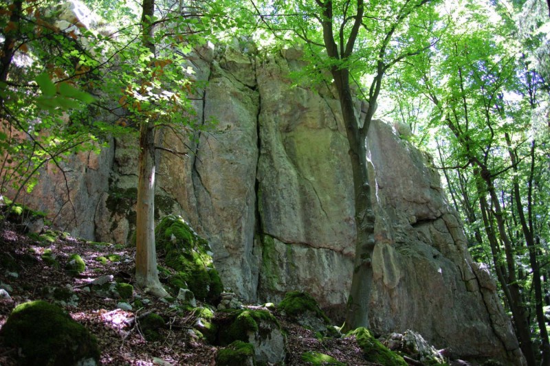Felsfoto: Waldkopf und 41 weitere Felsen im Klettergebiet Altmühltal (Südliches Frankenjura) ➤ Routen mit Schwierigkeitsgraden f&uuml;r den Fels Waldkopf ➤ Klettertopo & Kletterf&uuml;hrer ➤ 16.07.2026