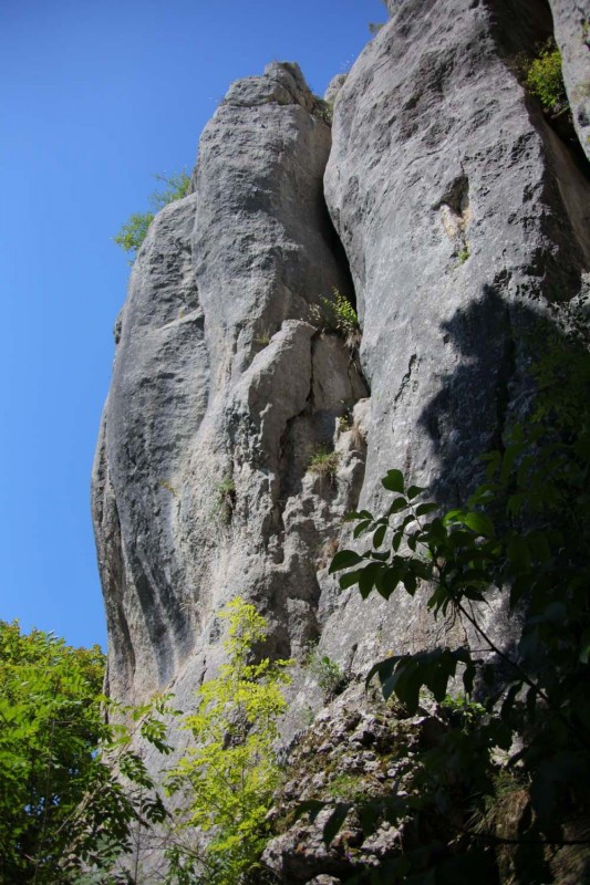 Felsfoto: Quaderwand und 41 weitere Felsen im Klettergebiet Altmühltal (Südliches Frankenjura) ➤ Routen mit Schwierigkeitsgraden f&uuml;r den Fels Quaderwand ➤ Klettertopo & Kletterf&uuml;hrer ➤ 16.07.2026