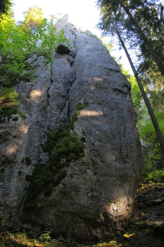 Felsfoto: Deutsch-Österreicher Turm und 41 weitere Felsen im Klettergebiet Altmühltal (Südliches Frankenjura) ➤ Routen mit Schwierigkeitsgraden f&uuml;r den Fels Deutsch-Österreicher Turm ➤ Klettertopo & Kletterf&uuml;hrer ➤ 16.07.2026