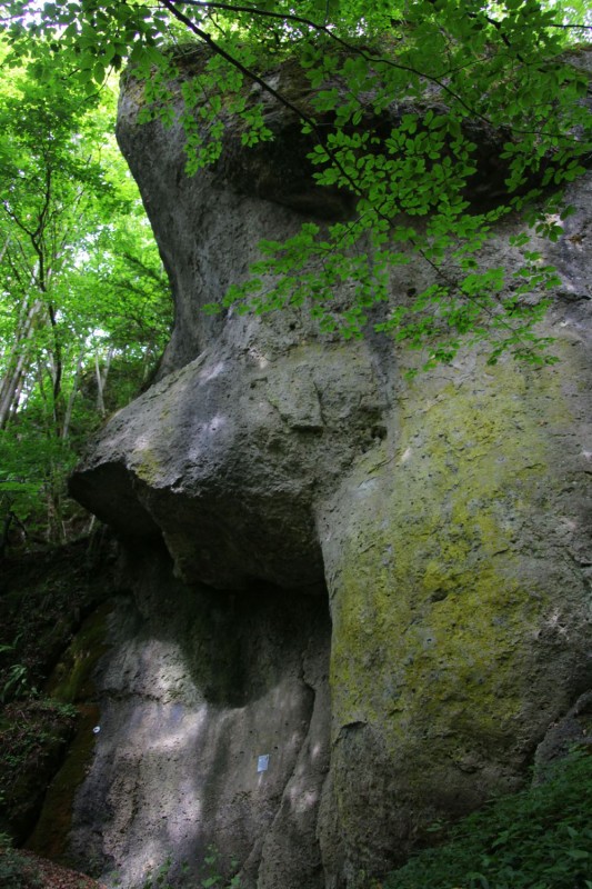 Felsfoto: Moskito Rock und 690 weitere Felsen im Klettergebiet Fränkische Schweiz (Frankenjura) ➤ Routen mit Schwierigkeitsgraden f&uuml;r den Fels Moskito Rock ➤ Klettertopo & Kletterf&uuml;hrer ➤ 19.05.2026
