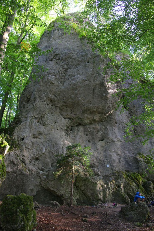 Felsfoto: Spieser Wand und 690 weitere Felsen im Klettergebiet Fränkische Schweiz (Frankenjura) ➤ Routen mit Schwierigkeitsgraden f&uuml;r den Fels Spieser Wand ➤ Klettertopo & Kletterf&uuml;hrer ➤ 19.05.2026