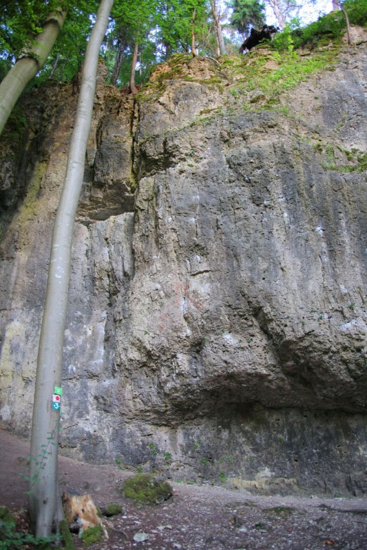 Felsfoto: Hirschbacher Wand und 690 weitere Felsen im Klettergebiet Fränkische Schweiz (Frankenjura) ➤ Routen mit Schwierigkeitsgraden f&uuml;r den Fels Hirschbacher Wand ➤ Klettertopo & Kletterf&uuml;hrer ➤ 19.05.2026