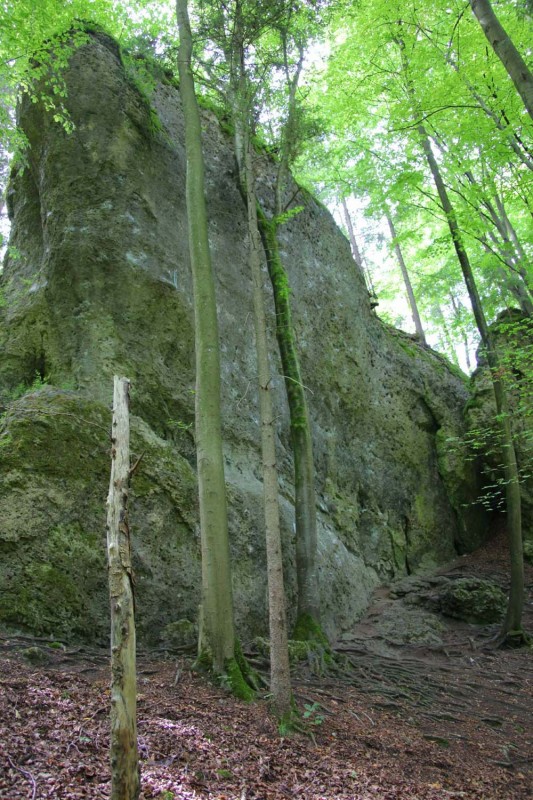 Felsfoto: Reichelsmühler Wand und 689 weitere Felsen im Klettergebiet Fränkische Schweiz (Frankenjura) ➤ Routen mit Schwierigkeitsgraden f&uuml;r den Fels Reichelsmühler Wand ➤ Klettertopo & Kletterf&uuml;hrer ➤ 01.05.2026