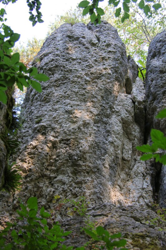 Felsfoto: Z-Bau und 690 weitere Felsen im Klettergebiet Fränkische Schweiz (Frankenjura) ➤ Routen mit Schwierigkeitsgraden f&uuml;r den Fels Z-Bau ➤ Klettertopo & Kletterf&uuml;hrer ➤ 19.05.2026