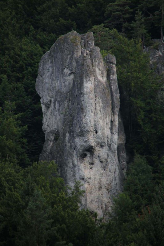 Felsfoto: Zehnerstein und 689 weitere Felsen im Klettergebiet Fränkische Schweiz (Frankenjura) ➤ Routen mit Schwierigkeitsgraden f&uuml;r den Fels Zehnerstein ➤ Klettertopo & Kletterf&uuml;hrer ➤ 05.05.2026
