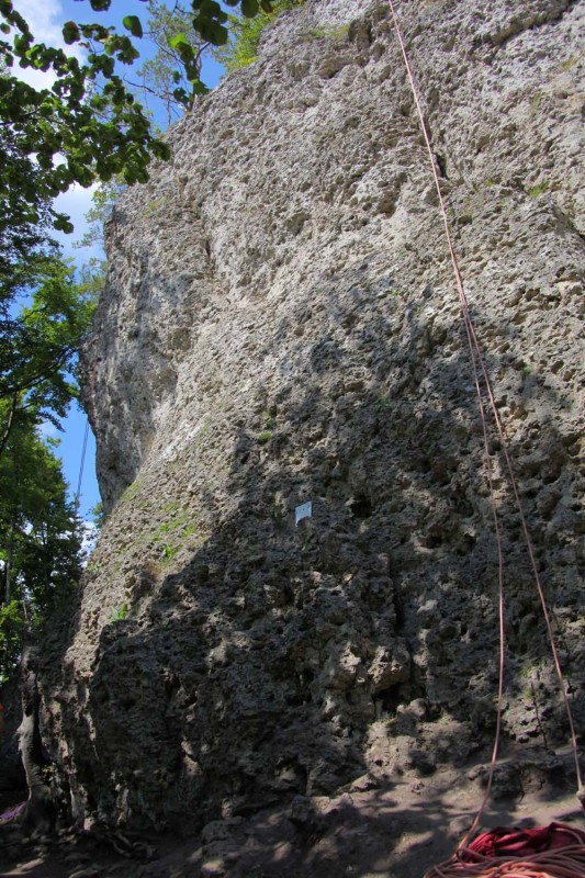 Felsfoto: Breitenberg Südwand und 690 weitere Felsen im Klettergebiet Fränkische Schweiz (Frankenjura) ➤ Routen mit Schwierigkeitsgraden f&uuml;r den Fels Breitenberg Südwand ➤ Klettertopo & Kletterf&uuml;hrer ➤ 19.05.2026