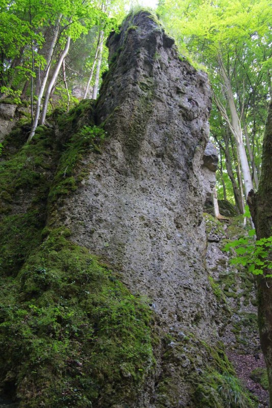 Felsfoto: Zimmerbergwände und 690 weitere Felsen im Klettergebiet Fränkische Schweiz (Frankenjura) ➤ Routen mit Schwierigkeitsgraden f&uuml;r den Fels Zimmerbergwände ➤ Klettertopo & Kletterf&uuml;hrer ➤ 19.05.2026