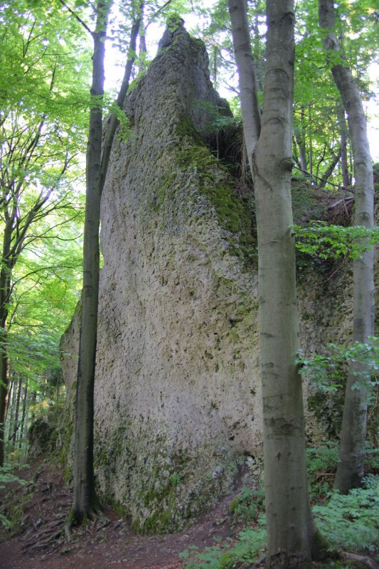 Felsfoto: Vodelherdwand und 690 weitere Felsen im Klettergebiet Fränkische Schweiz (Frankenjura) ➤ Routen mit Schwierigkeitsgraden f&uuml;r den Fels Vodelherdwand ➤ Klettertopo & Kletterf&uuml;hrer ➤ 19.05.2026