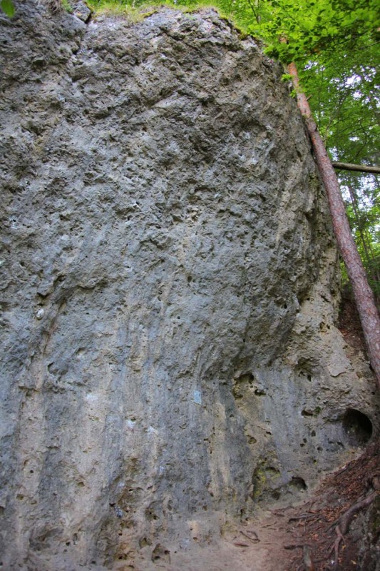 Felsfoto: Auenland und 690 weitere Felsen im Klettergebiet Fränkische Schweiz (Frankenjura) ➤ Routen mit Schwierigkeitsgraden f&uuml;r den Fels Auenland ➤ Klettertopo & Kletterf&uuml;hrer ➤ 19.05.2026