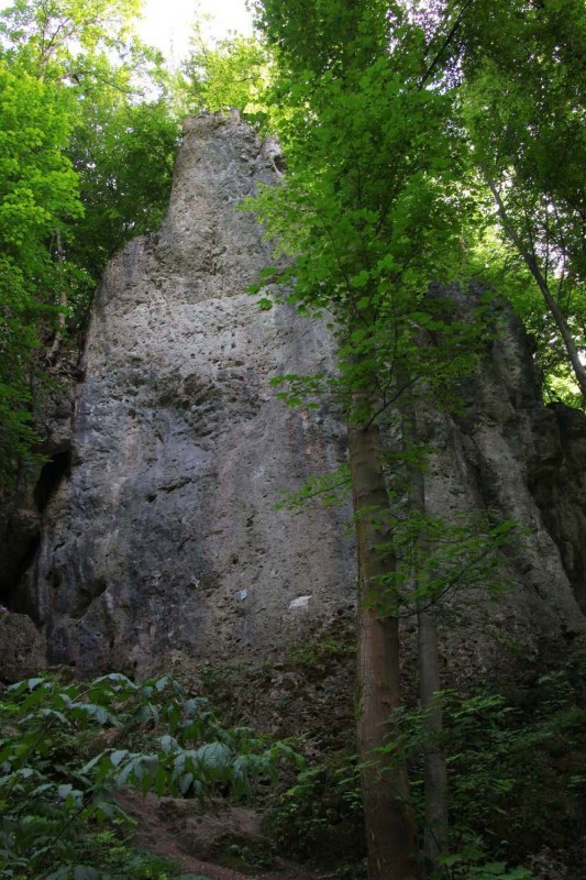 Felsfoto: Breitenberg Nordwand und 690 weitere Felsen im Klettergebiet Fränkische Schweiz (Frankenjura) ➤ Routen mit Schwierigkeitsgraden f&uuml;r den Fels Breitenberg Nordwand ➤ Klettertopo & Kletterf&uuml;hrer ➤ 19.05.2026
