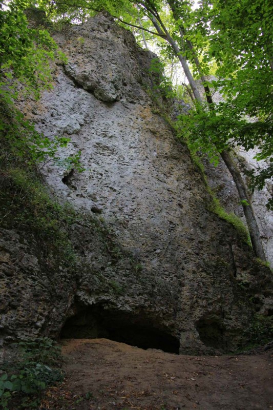 Felsfoto: Fellner Dolinenwand und 690 weitere Felsen im Klettergebiet Fränkische Schweiz (Frankenjura) ➤ Routen mit Schwierigkeitsgraden f&uuml;r den Fels Fellner Dolinenwand ➤ Klettertopo & Kletterf&uuml;hrer ➤ 19.05.2026
