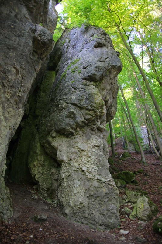 Felsfoto: Fuchsstein und 690 weitere Felsen im Klettergebiet Fränkische Schweiz (Frankenjura) ➤ Routen mit Schwierigkeitsgraden f&uuml;r den Fels Fuchsstein ➤ Klettertopo & Kletterf&uuml;hrer ➤ 19.05.2026