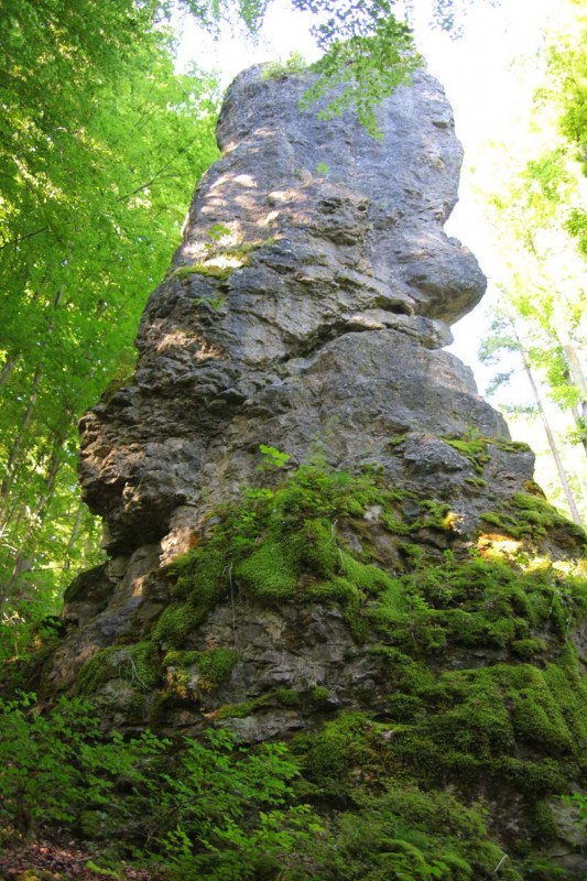 Felsfoto: Fürther Turm & Burggraf und 690 weitere Felsen im Klettergebiet Fränkische Schweiz (Frankenjura) ➤ Routen mit Schwierigkeitsgraden f&uuml;r den Fels Fürther Turm & Burggraf ➤ Klettertopo & Kletterf&uuml;hrer ➤ 19.05.2026
