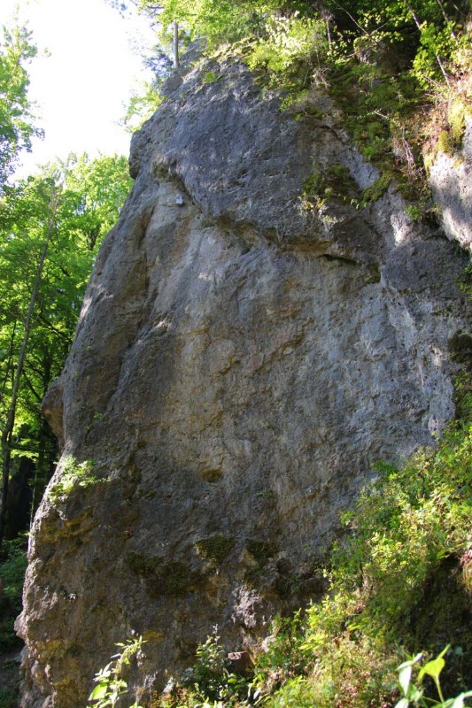 Felsfoto: Großenoher Wand und 690 weitere Felsen im Klettergebiet Fränkische Schweiz (Frankenjura) ➤ Routen mit Schwierigkeitsgraden f&uuml;r den Fels Großenoher Wand ➤ Klettertopo & Kletterf&uuml;hrer ➤ 19.05.2026