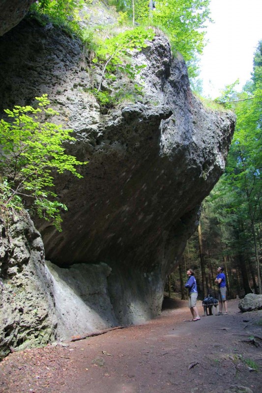 Felsfoto: Grüne Hölle und 692 weitere Felsen im Klettergebiet Fränkische Schweiz (Frankenjura) ➤ Routen mit Schwierigkeitsgraden f&uuml;r den Fels Grüne Hölle ➤ Klettertopo & Kletterf&uuml;hrer ➤ 30.08.2026
