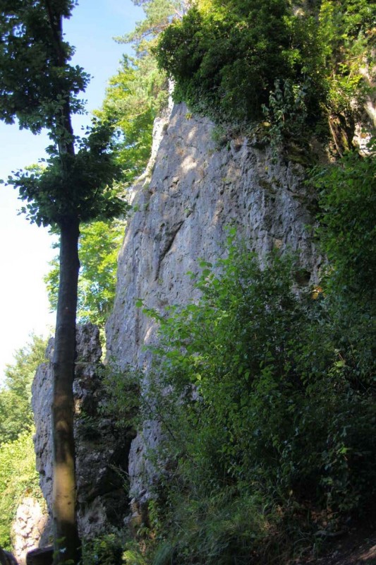 Felsfoto: Haselstaudener Wände und 690 weitere Felsen im Klettergebiet Fränkische Schweiz (Frankenjura) ➤ Routen mit Schwierigkeitsgraden f&uuml;r den Fels Haselstaudener Wände ➤ Klettertopo & Kletterf&uuml;hrer ➤ 19.05.2026