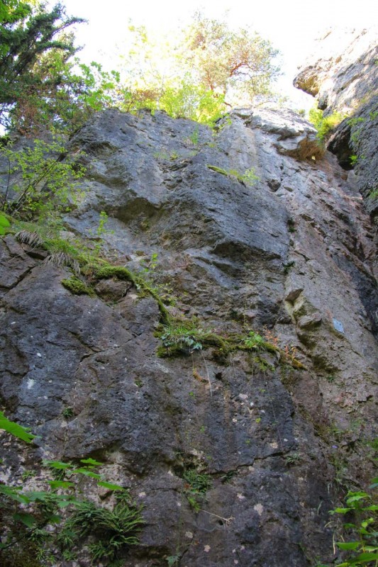 Felsfoto: Höfleser Wand & Turm und 690 weitere Felsen im Klettergebiet Fränkische Schweiz (Frankenjura) ➤ Routen mit Schwierigkeitsgraden f&uuml;r den Fels Höfleser Wand & Turm ➤ Klettertopo & Kletterf&uuml;hrer ➤ 19.05.2026
