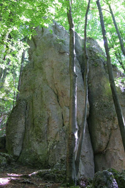 Felsfoto: Kleiner Mönch und 690 weitere Felsen im Klettergebiet Fränkische Schweiz (Frankenjura) ➤ Routen mit Schwierigkeitsgraden f&uuml;r den Fels Kleiner Mönch ➤ Klettertopo & Kletterf&uuml;hrer ➤ 19.05.2026