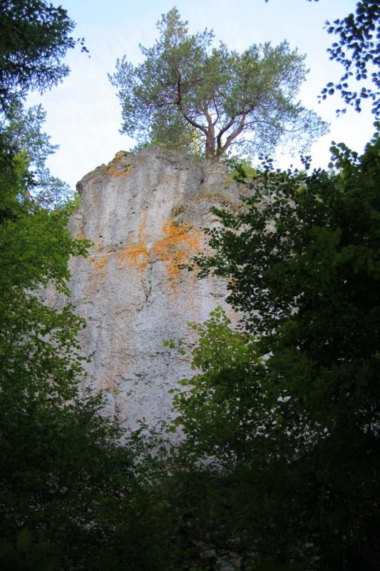 Felsfoto: Linke Reibertsbergwand und 690 weitere Felsen im Klettergebiet Fränkische Schweiz (Frankenjura) ➤ Routen mit Schwierigkeitsgraden f&uuml;r den Fels Linke Reibertsbergwand ➤ Klettertopo & Kletterf&uuml;hrer ➤ 19.05.2026