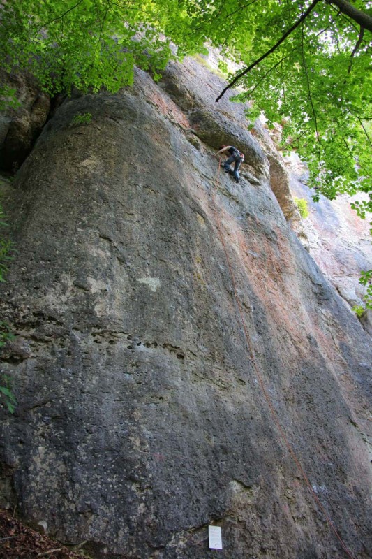Felsfoto: Martinswand und 690 weitere Felsen im Klettergebiet Fränkische Schweiz (Frankenjura) ➤ Routen mit Schwierigkeitsgraden f&uuml;r den Fels Martinswand ➤ Klettertopo & Kletterf&uuml;hrer ➤ 19.05.2026