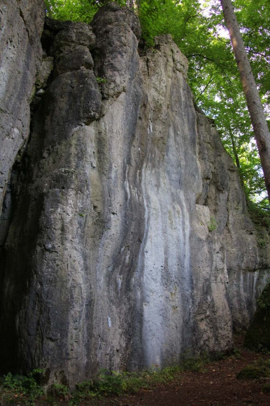 Felsfoto: Plecher Klippen und 690 weitere Felsen im Klettergebiet Fränkische Schweiz (Frankenjura) ➤ Routen mit Schwierigkeitsgraden f&uuml;r den Fels Plecher Klippen ➤ Klettertopo & Kletterf&uuml;hrer ➤ 19.05.2026