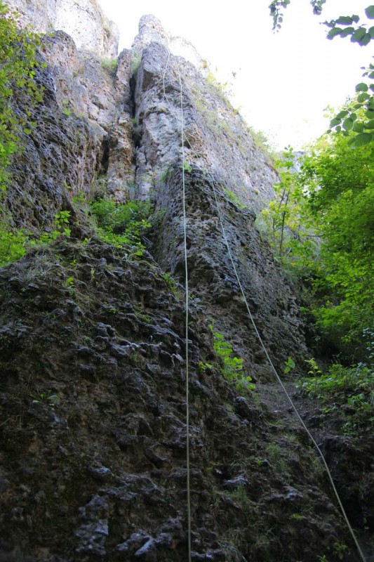 Felsfoto: Rechte Reibertsbergwand und 690 weitere Felsen im Klettergebiet Fränkische Schweiz (Frankenjura) ➤ Routen mit Schwierigkeitsgraden f&uuml;r den Fels Rechte Reibertsbergwand ➤ Klettertopo & Kletterf&uuml;hrer ➤ 19.05.2026