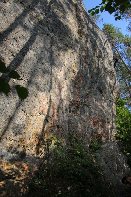 Felsfoto: Weidlwanger Wand und 690 weitere Felsen im Klettergebiet Fränkische Schweiz (Frankenjura) ➤ Routen mit Schwierigkeitsgraden f&uuml;r den Fels Weidlwanger Wand ➤ Klettertopo & Kletterf&uuml;hrer ➤ 19.05.2026