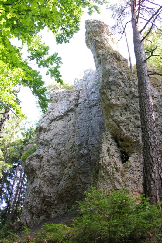Felsfoto: Bettelmannsfels und 690 weitere Felsen im Klettergebiet Fränkische Schweiz (Frankenjura) ➤ Routen mit Schwierigkeitsgraden f&uuml;r den Fels Bettelmannsfels ➤ Klettertopo & Kletterf&uuml;hrer ➤ 19.05.2026