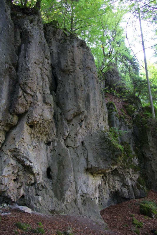 Felsfoto: Schwender Wand und 690 weitere Felsen im Klettergebiet Fränkische Schweiz (Frankenjura) ➤ Routen mit Schwierigkeitsgraden f&uuml;r den Fels Schwender Wand ➤ Klettertopo & Kletterf&uuml;hrer ➤ 19.05.2026