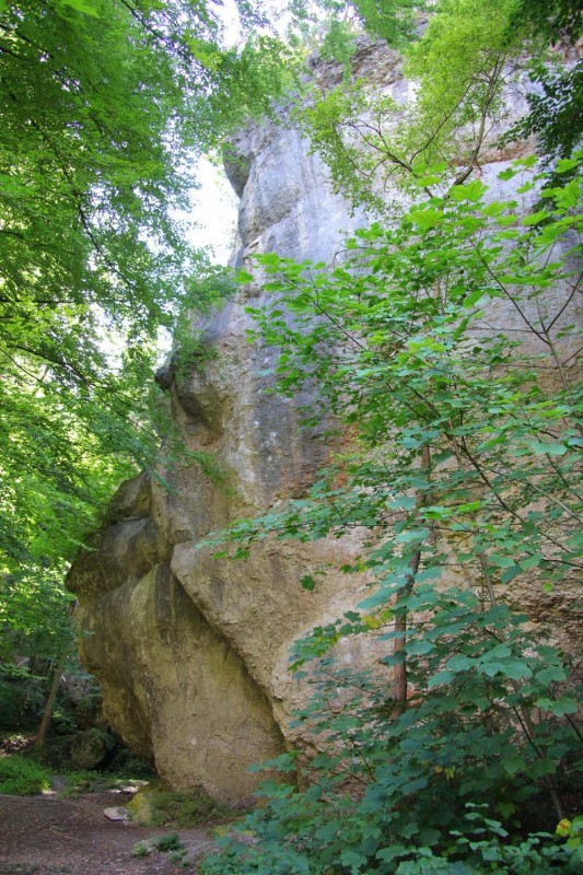 Felsfoto: Erinnerungswand und 690 weitere Felsen im Klettergebiet Fränkische Schweiz (Frankenjura) ➤ Routen mit Schwierigkeitsgraden f&uuml;r den Fels Erinnerungswand ➤ Klettertopo & Kletterf&uuml;hrer ➤ 19.05.2026