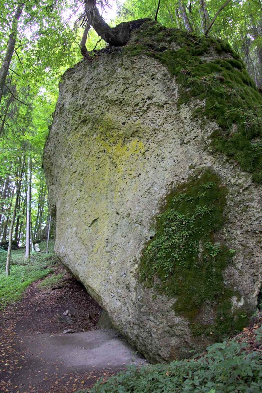 Felsfoto: Zamonien & Fuchsbau und 690 weitere Felsen im Klettergebiet Fränkische Schweiz (Frankenjura) ➤ Routen mit Schwierigkeitsgraden f&uuml;r den Fels Zamonien & Fuchsbau ➤ Klettertopo & Kletterf&uuml;hrer ➤ 19.05.2026