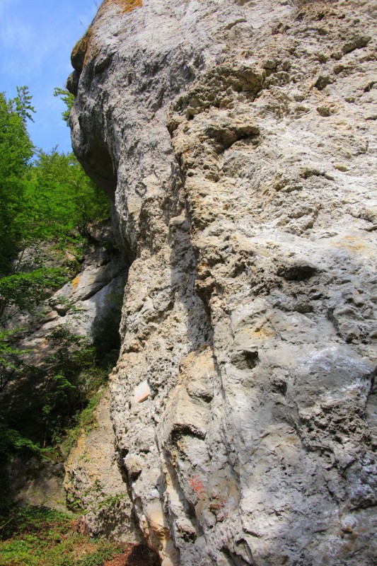 Felsfoto: Hammerschmiedturm und 690 weitere Felsen im Klettergebiet Fränkische Schweiz (Frankenjura) ➤ Routen mit Schwierigkeitsgraden f&uuml;r den Fels Hammerschmiedturm ➤ Klettertopo & Kletterf&uuml;hrer ➤ 19.05.2026