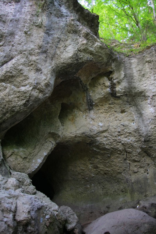 Felsfoto: Zwergenschloß und 690 weitere Felsen im Klettergebiet Fränkische Schweiz (Frankenjura) ➤ Routen mit Schwierigkeitsgraden f&uuml;r den Fels Zwergenschloß ➤ Klettertopo & Kletterf&uuml;hrer ➤ 19.05.2026