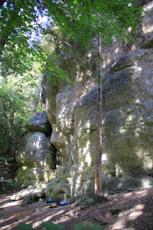 Felsfoto: Ammerthaler Wand und 690 weitere Felsen im Klettergebiet Fränkische Schweiz (Frankenjura) ➤ Routen mit Schwierigkeitsgraden f&uuml;r den Fels Ammerthaler Wand ➤ Klettertopo & Kletterf&uuml;hrer ➤ 19.05.2026