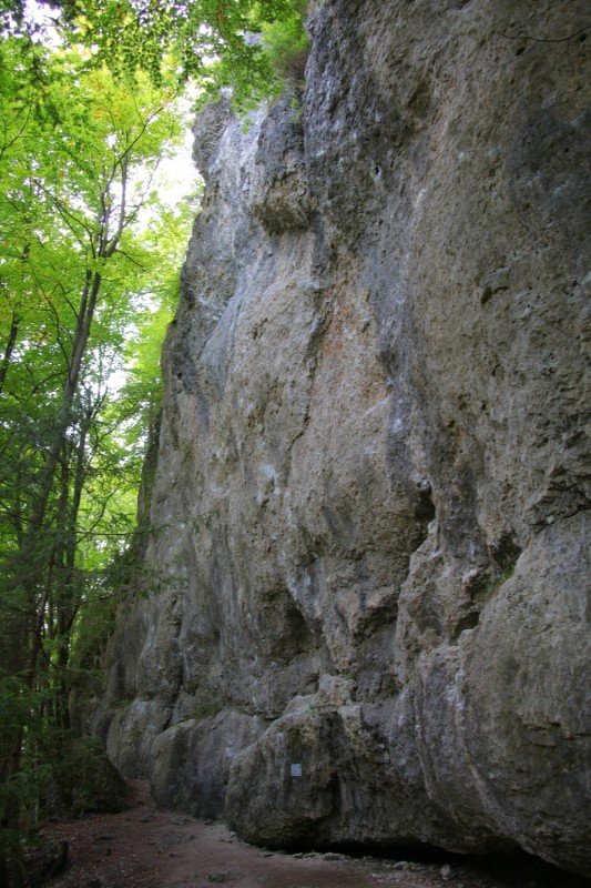 Felsfoto: Blechfass und 690 weitere Felsen im Klettergebiet Fränkische Schweiz (Frankenjura) ➤ Routen mit Schwierigkeitsgraden f&uuml;r den Fels Blechfass ➤ Klettertopo & Kletterf&uuml;hrer ➤ 19.05.2026
