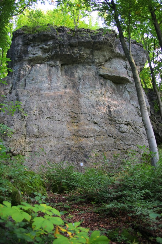 Felsfoto: Dohlenwand und 690 weitere Felsen im Klettergebiet Fränkische Schweiz (Frankenjura) ➤ Routen mit Schwierigkeitsgraden f&uuml;r den Fels Dohlenwand ➤ Klettertopo & Kletterf&uuml;hrer ➤ 19.05.2026