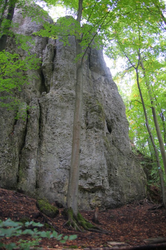 Felsfoto: Kalmusfels und 690 weitere Felsen im Klettergebiet Fränkische Schweiz (Frankenjura) ➤ Routen mit Schwierigkeitsgraden für den Fels Kalmusfels ➤ Klettertopo & Kletterführer ➤ 19.05.2026