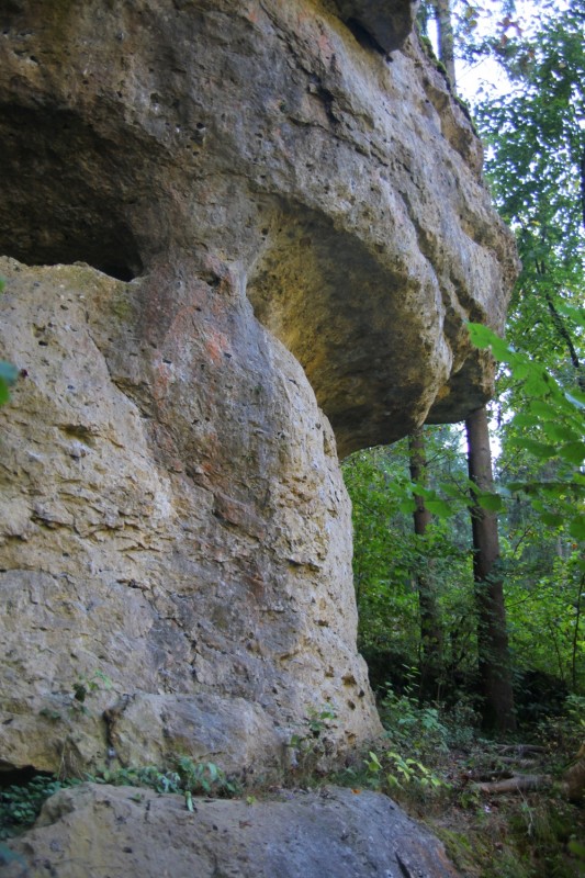 Felsfoto: Kleine Dooser Welle und 690 weitere Felsen im Klettergebiet Fränkische Schweiz (Frankenjura) ➤ Routen mit Schwierigkeitsgraden f&uuml;r den Fels Kleine Dooser Welle ➤ Klettertopo & Kletterf&uuml;hrer ➤ 19.05.2026