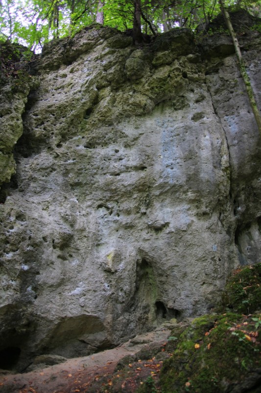 Felsfoto: Harry Potter Gedenkwand und 691 weitere Felsen im Klettergebiet Fränkische Schweiz (Frankenjura) ➤ Routen mit Schwierigkeitsgraden f&uuml;r den Fels Harry Potter Gedenkwand ➤ Klettertopo & Kletterf&uuml;hrer ➤ 15.06.2026
