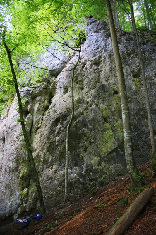 Felsfoto: Kalte Wand und 690 weitere Felsen im Klettergebiet Fränkische Schweiz (Frankenjura) ➤ Routen mit Schwierigkeitsgraden f&uuml;r den Fels Kalte Wand ➤ Klettertopo & Kletterf&uuml;hrer ➤ 19.05.2026
