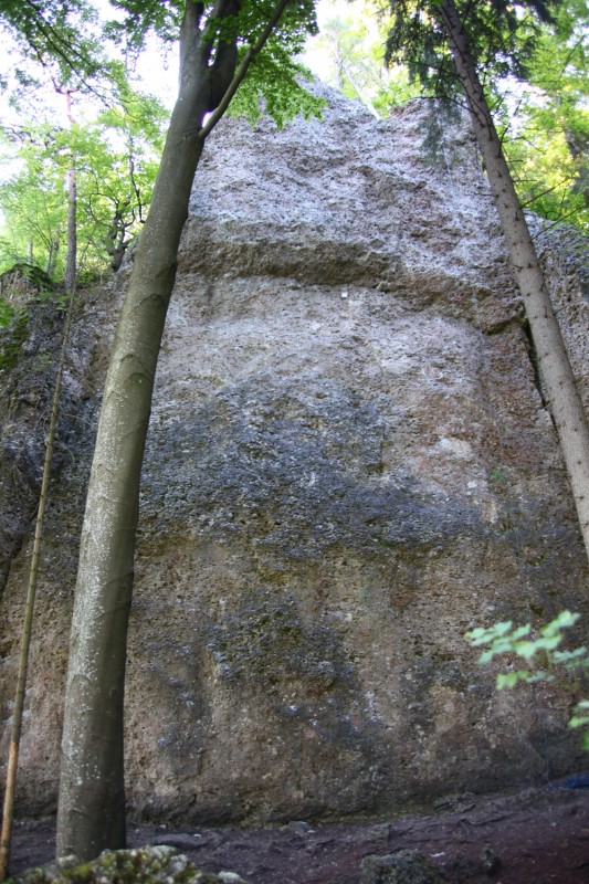 Felsfoto: Katzenlöcher und 690 weitere Felsen im Klettergebiet Fränkische Schweiz (Frankenjura) ➤ Routen mit Schwierigkeitsgraden f&uuml;r den Fels Katzenlöcher ➤ Klettertopo & Kletterf&uuml;hrer ➤ 19.05.2026