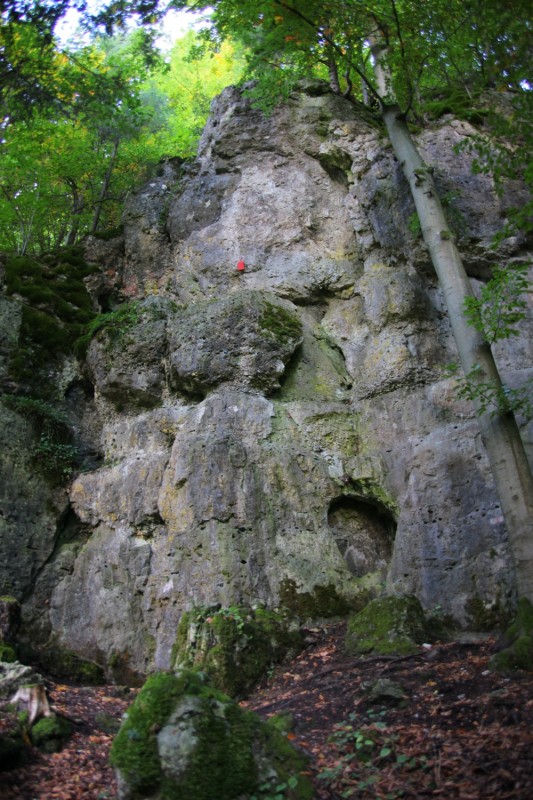 Felsfoto: Neidstallwand und 690 weitere Felsen im Klettergebiet Fränkische Schweiz (Frankenjura) ➤ Routen mit Schwierigkeitsgraden f&uuml;r den Fels Neidstallwand ➤ Klettertopo & Kletterf&uuml;hrer ➤ 19.05.2026