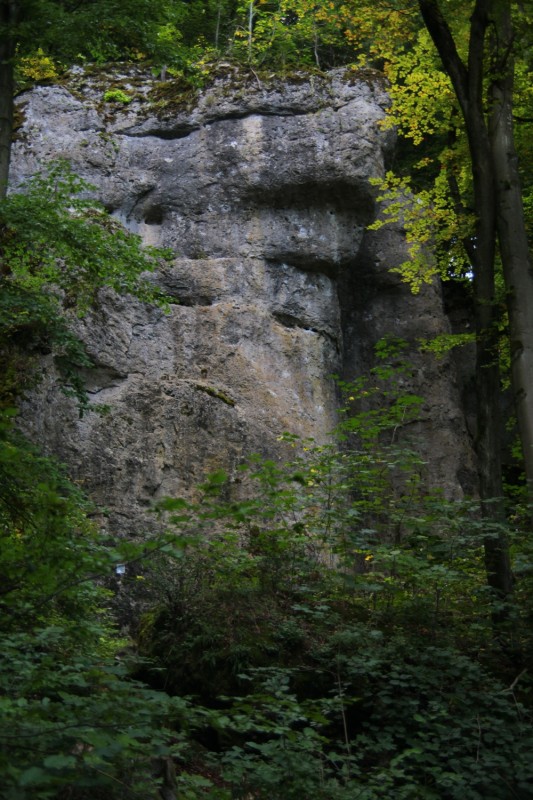 Felsfoto: Lehenhammertalwände und 690 weitere Felsen im Klettergebiet Fränkische Schweiz (Frankenjura) ➤ Routen mit Schwierigkeitsgraden f&uuml;r den Fels Lehenhammertalwände ➤ Klettertopo & Kletterf&uuml;hrer ➤ 19.05.2026