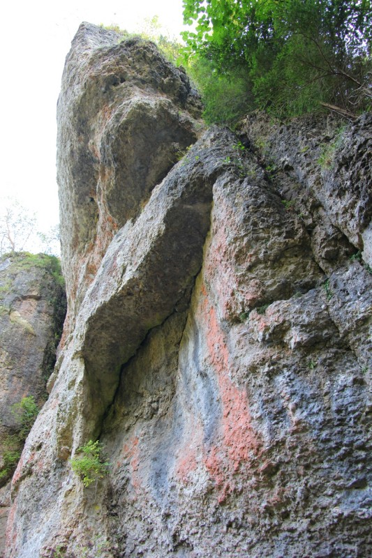 Felsfoto: Püttlachtaler Wand und 690 weitere Felsen im Klettergebiet Fränkische Schweiz (Frankenjura) ➤ Routen mit Schwierigkeitsgraden f&uuml;r den Fels Püttlachtaler Wand ➤ Klettertopo & Kletterf&uuml;hrer ➤ 19.05.2026