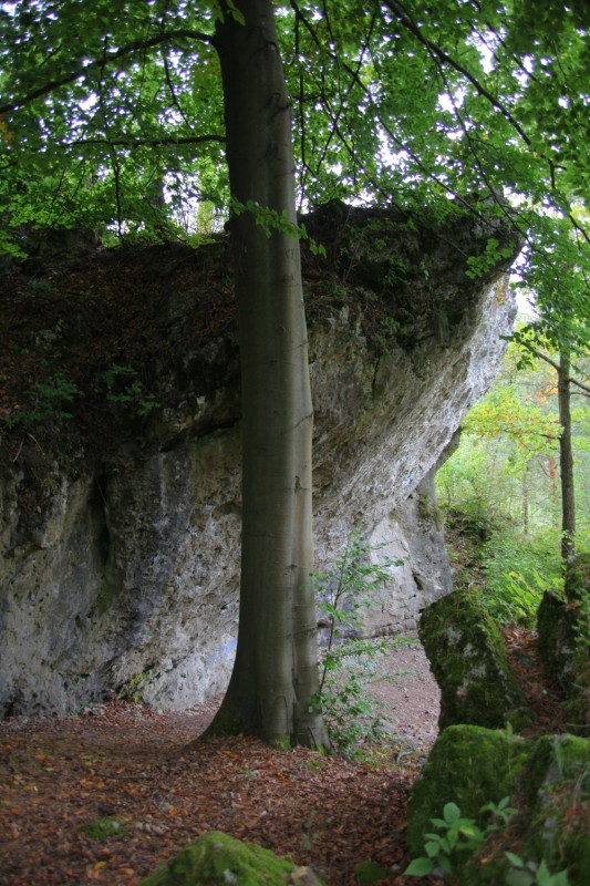 Felsfoto: Terrarium und 690 weitere Felsen im Klettergebiet Fränkische Schweiz (Frankenjura) ➤ Routen mit Schwierigkeitsgraden f&uuml;r den Fels Terrarium ➤ Klettertopo & Kletterf&uuml;hrer ➤ 19.05.2026
